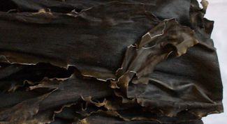 Картинка по теме - как приготовить сушеную морскую капусту