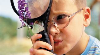 Картинка по теме - как заниматься с талантливыми детьми