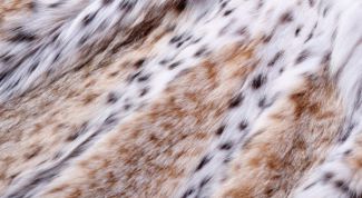 Картинка по теме - как выпрямить шубу