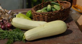 Картинка по теме - как хранить кабачки