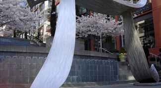 Картинка по теме - что такое  число пи