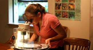 Картинка по теме - как выбрать тему для научной работы