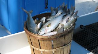 Картинка по теме - как сделать рыбный фарш