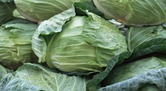 Картинка по теме - как квасить капусту на зиму