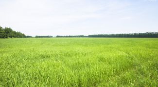 Картинка по теме - как оценить стоимость земельного участка