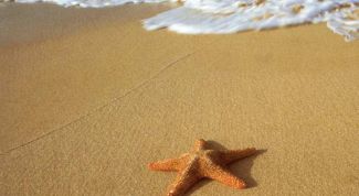 Картинка по теме - как одеться на море