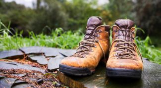 Картинка по теме - как выбрать хорошую обувь