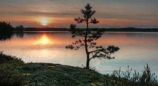 Картинка по теме - как рисовать воду акварелью