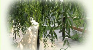 Картинка по теме - как размыть края картинки