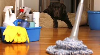 Картинка по теме - как сделать дом чистым