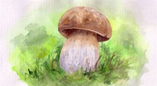 Картинка по теме - как рисовать осенние грибы