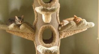 Картинка по теме - как построить кошкин дом