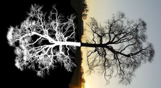 Картинка по теме - как перестроить жизнь