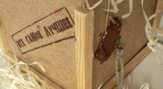 Картинка по теме - как отправить посылку в испанию