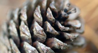 Картинка по теме - как сделать простые поделки из природных материалов