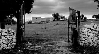 Картинка по теме - как определить силу землетрясения