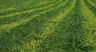 Картинка по теме - как перевести га в кв.км