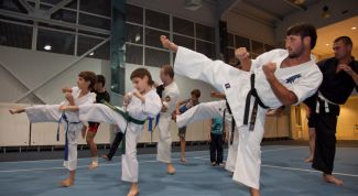 Картинка по теме - как выбрать единоборство