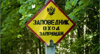 Картинка по теме - для чего нужны заповедники