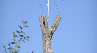 Картинка по теме - как установить телеантенну