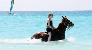 Картинка по теме - что делать, если вес остановился