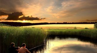 Картинка по теме - почему рыба не клюет