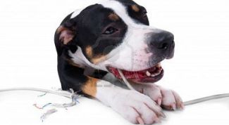 Картинка по теме - как запретить доступ в папке windows