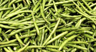 Картинка по теме - как посадить бобы