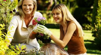 Картинка по теме - как угодить свекрови