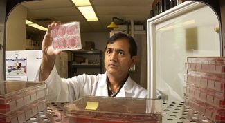 Картинка по теме - как провериться на венерические заболевания