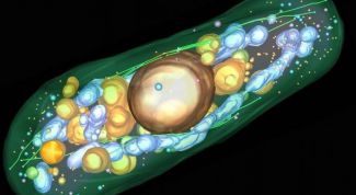 Картинка по теме - для чего нужно знать биологию