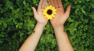 Картинка по теме - как оценить моральный вред