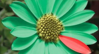 Картинка по теме - как разблокировать icq