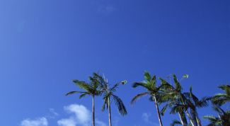 Картинка по теме - как подобрать зимний тур