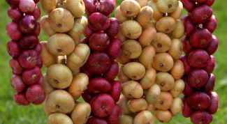 Картинка по теме - как сохранить репчатый лук