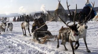 Картинка по теме - как построить чум