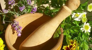 Картинка по теме - как заготавливать травы