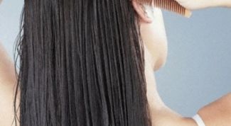 Картинка по теме - как вывести блох у человека