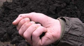 Картинка по теме - как оформить арендованный участок в собственность