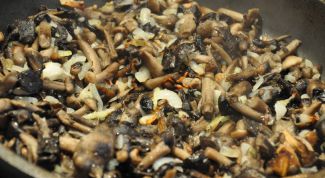 Картинка по теме - как обжарить грибы