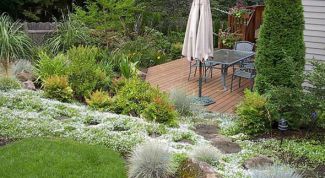 Картинка по теме - как спроектировать сад