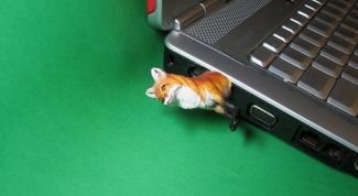 Картинка по теме - как восстановить удаленные с флешки папки