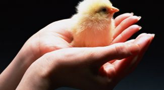 Картинка по теме - как оказать помощь детскому дому