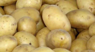 Картинка по теме - как повысить урожайность картофеля