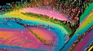 Картинка по теме - как снизить уровень мочевины