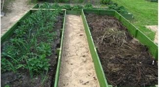 Картинка по теме - как сделать высокие грядки