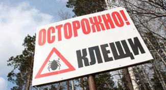 Картинка по теме - как защититься от клеща