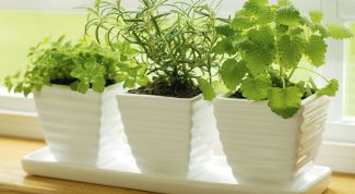 Картинка по теме - как украсить подоконник