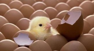 Картинка по теме - как развить индивидуальность