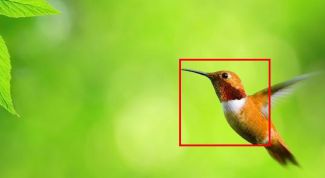 Картинка по теме - как создать бесплатно аватар